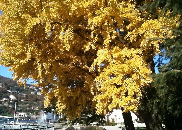 Casa Riva 25 Vista Lago-central Διαμέρισμα Όπως